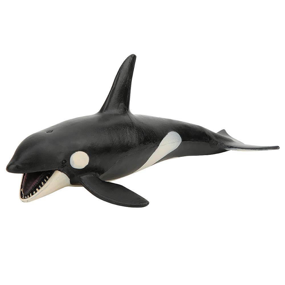 Pottwal-Spielfigur – Realistisches Modell, Ca. 21 Cm, Aus Kunststoff – Für Kinder, Sammler & Unterricht