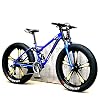 CHICAI 26 inch volwassen Mountainbike Mountain Cross-Country High Carbon Steel Bike, 24/22/27/30 Speed ​​Bike Full…
