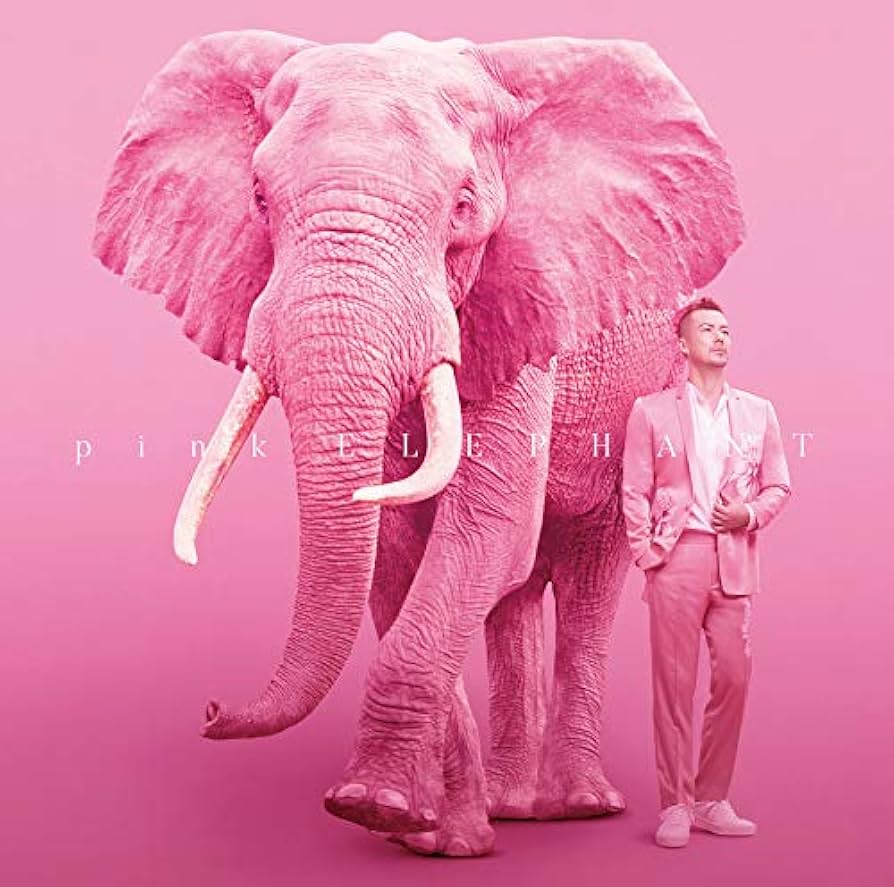 【値下げ‼️】米倉利紀 DVD 「pink ELEPHANT」 LIVE DVD 