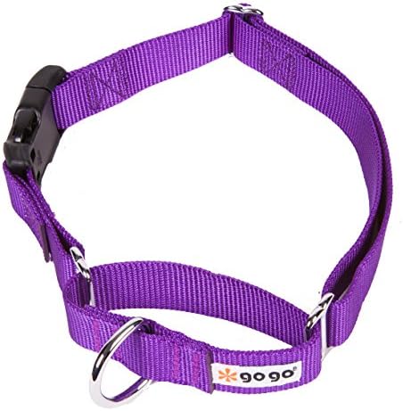GoGo Pet Products GoGo 3/4-Inch Martingale Dog Collar, Medium, Purple