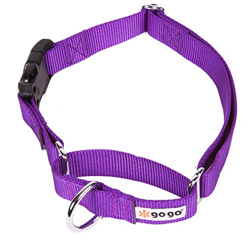GOGO Pet Products 1-Inch Martingale Dog Collar, Large, Purple
