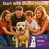 ORIVET GenoPet Dog DNA Test Kit | Breed Identification for 365+ Breeds & Mixed Breeds | Genetic Trait & Wellness Insights | Home Cheek Swab Kit | Dog DNA Test UK with Online Results in 3–4 Weeks - Image 9