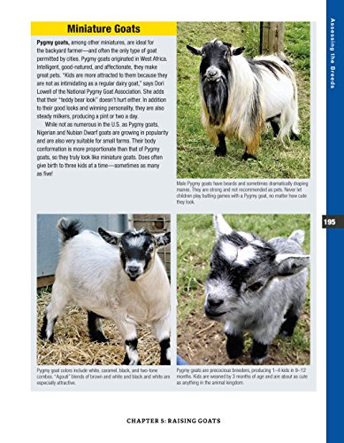 Backyard Homesteading, Second Revised Edition: A Back-To-Basics Guide for Self-Sufficiency