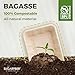 [100 COUNT]Harvest Pack 32 oz Compostable Food Trays, 8.49