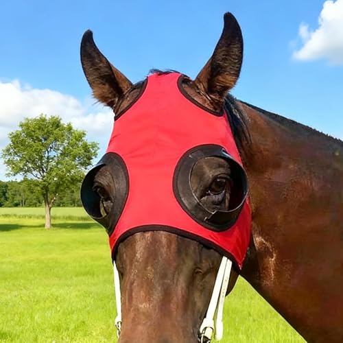 Capuche de protection oculaire pour cheval contre le sable et le vent - 7