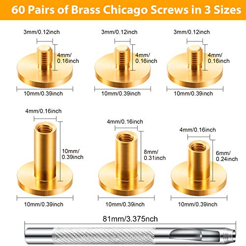 60 Pairs 3 Sizes Brass Chicago Screws Leather Rivets Belt Screw Solid Brass Chicago Screws Binding Stud Screws Leather Fasteners Rivets Belt Strap Screw With Hole Punch Tool For Diy Jean (Gold) #TOP1