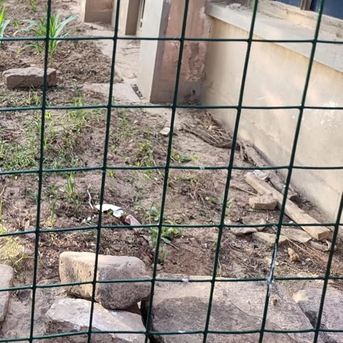 KAnduo Malla metálica para Jardin Valla de Malla metálica recubierta de PVC, tamaño de Malla de 6 cm y diámetro del Alambre de 2,8 mm, for jardín, Patio y zoológico.