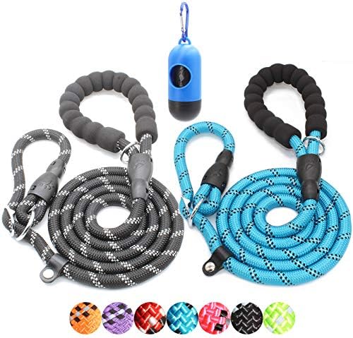 BAAPET 6 Feet Slip Lead Dog Leash