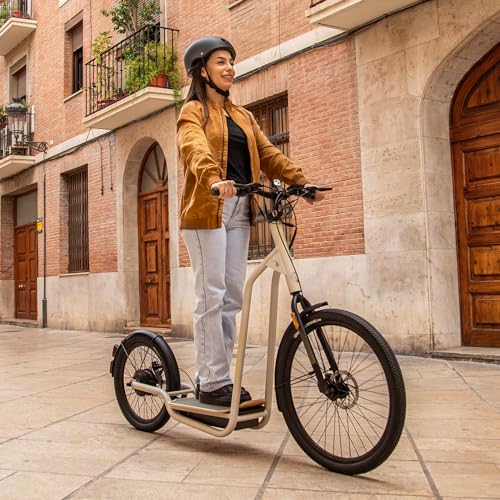 Miniatura 4 de Cecotec Bicinete Urban Homologado. 1000 W, Autonomía Hasta 50 Km, Ruedas De 20 Y 26 , Doble Sistema De Frenado, Batería De 48v Y 12.5 Ah, Base Xl De Madera, Normativa Española