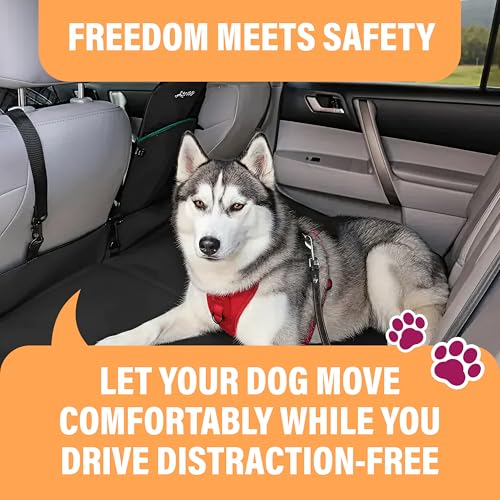 Image of Active Pets Dog Seatbelt, Adjustable Safety Dog Seat Car Harness, Dog Seat Belt for Pets - Durable Dog Seatbelts for Cars - Dog Car Seat Belt for Dogs, Dog seat Belts for Large Dogs, Medium, & Small