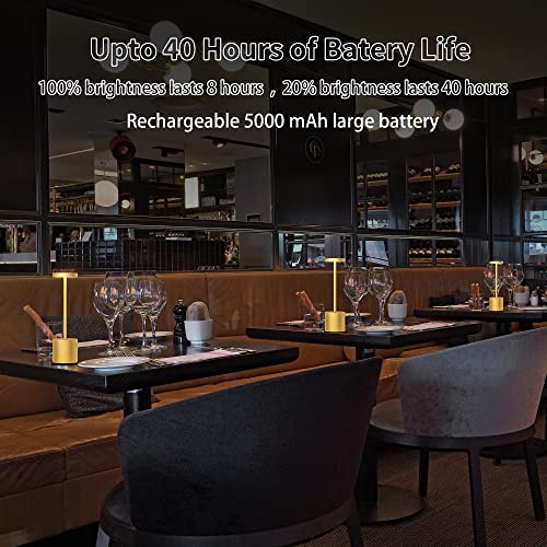 Willdoak 2 Pack Cordless Table Lamp, Rechargeable Portable Outdoor 5000Mah Battery Powered Led Desk Lamp 3-Levels Brightness Night Light Reading For Restaurant/Bedroom/Dormitor (2 Gold) #TOP3