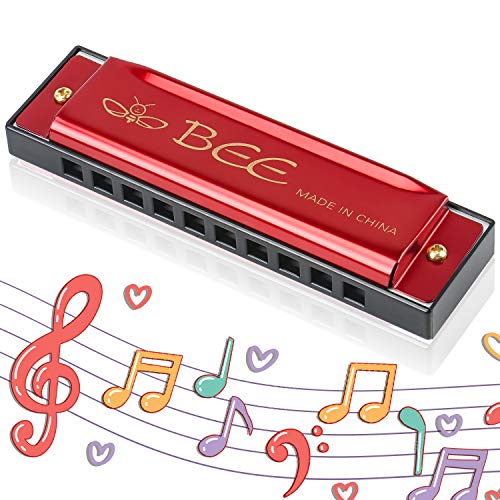 30 Le Migliori Recensioni Di Fisarmonica A Bocca Testato