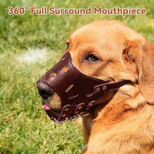 yolzhxe Maulkorb Hunde, Verstellbare PU Leder Hunde Maulkorb, Atmungsaktive Bequem Hundemaulkorb, Sicher Dog Muzzle, Fressschutz Giftköderschutz Gegen Bellen, für Kleine, Mittel Hund (Braun, L)