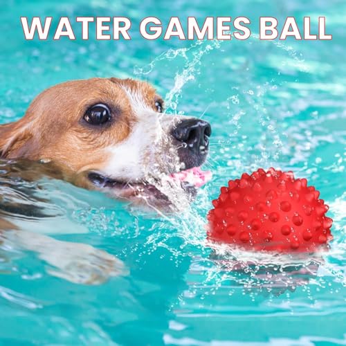 Image of Non-Toxic & Durable Chew Toy for Playing, Teething & Training, Hard Squeaky Chew Silicon Ball Toys for Dogs, Squeaky Toys for Dogs, Ball for Dogs (Red)