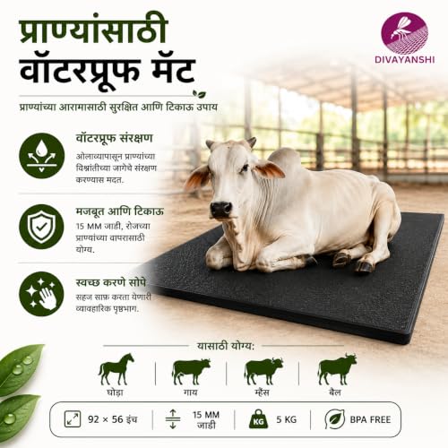 DIVAYANSHI Store DIVAYANSHI Animal Feeding Mat 92x56 Inch, 15mm, 5Kg, - Image 5