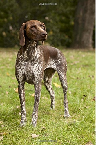German Shorthaired Pointer: Artified Pets Journal/Notebook/Diary, 6" by 9" and 160 Pages
