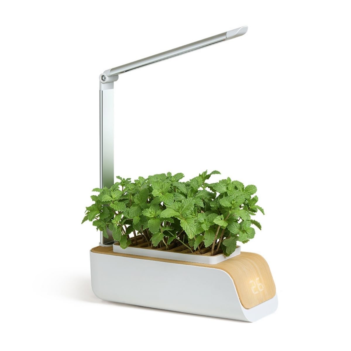 Mobiclinic®, Hydroponiczny system uprawy, Mini-grow, Światł do regulowana wysokość i kąt, Timer wody przypomnienie, Zestaw kiełkowania roślin, Automatyczna dioda led, 4, 5 w