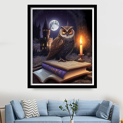 Image of Findvoor Stamped Cross Stitch Kits for Beginners Full Range of Cross Stitching Embroidery Pattern for Adults, 11CT DIY Needlepoint Embroidery Starter Kits-Magic Owl 15.7x19.7 inch