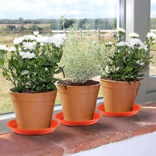 SIGNY Round Bottom Tray(Plate/Saucer) Suitable for 12 Inch Round Plastic Pot - Brown - Set of 3 | Heavy Duty Highly Durable Plant Saucer for Indoor Home Decor & Outdoor Balcony Garden (3, 7.6 Brown) - Image 7 thumbnail
