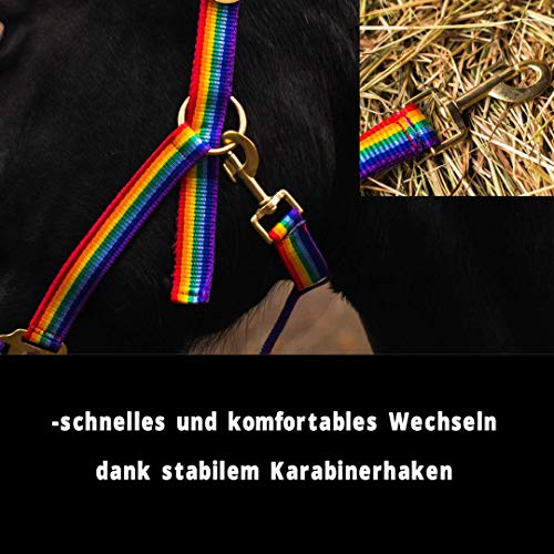 Pferdelinis Halfter Fohlen Halfter für Mini Shetty Halfter für Holzpferd - Fohlenhalfter 2-Fach verstellbar an Kinn- & Genickstück (Bunt, Fohlen)