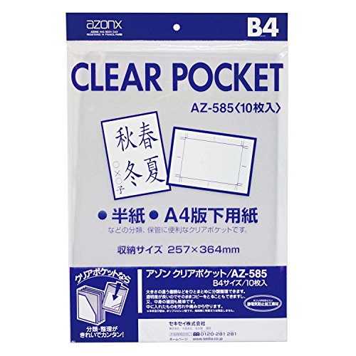Poche B4 Clair Azone SEKISEI pour rangement négatif photo