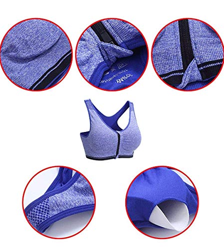 Image of Dilency Sales Zipper Sports Bra for Women, Lightly Padded, Comfortable, Free Size (28-34)