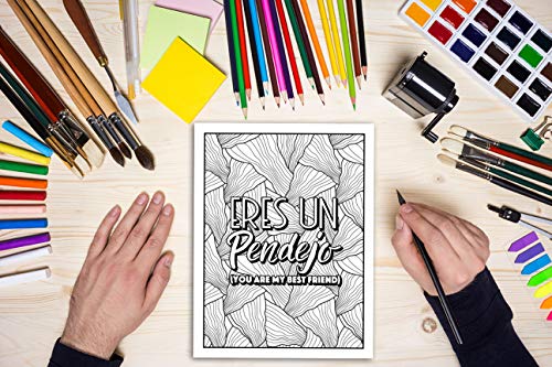 A Swear Word Coloring Book for Adults: Eat a Bag