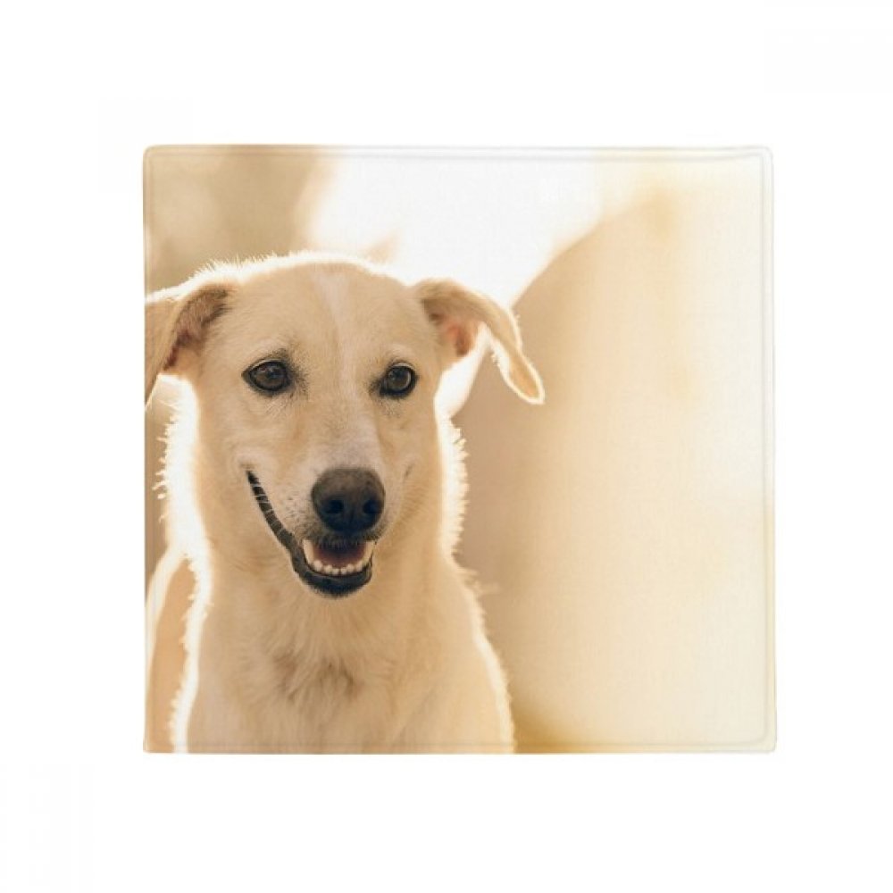 Tapis pet mat chien blanc imprimé photo antidérapant multicolore 50x50