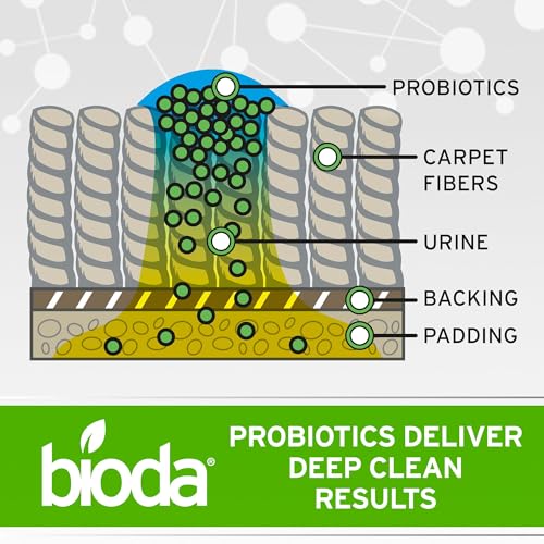 Image of Bioda Probiotic Enzyme Cleaner & Deodorizer, Professional Strength, 4 Pack | Enzyme Cleaner, Trash Can Deodorizer, Pet Stains and Odors, Drains, Floors, Bathrooms, Toilets, Made in USA, 1 Gal, 4 Pack