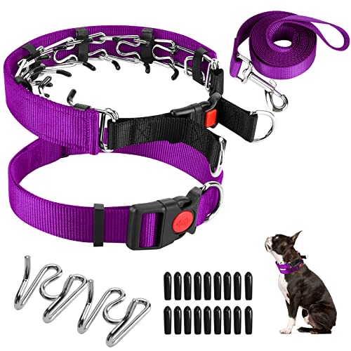Generic Dog Prong Training Collar with Nylon Cover Comfort Tips and Quick Release Snap Buckle, Dog Classic Collar and Dog Leash for Small, Medium, Large Dogs by generic - Used condition - US$10.93
