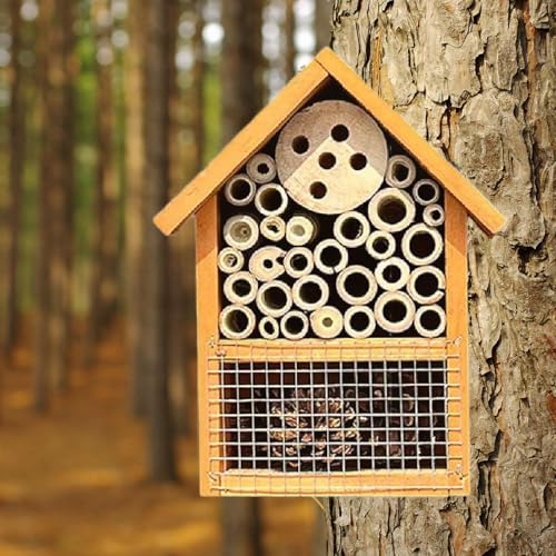 Maison d'abeilles pour abriter les insectes pollinisateurs du froid
