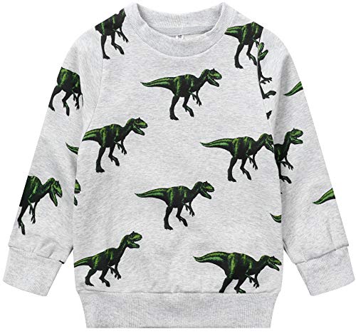 Toddler Boy Dinosaur Sweatshirt Long Sleeve Crewneck Pullover Baby Kids T-Rex Dino Shirt Winter Warm Sweater 2t 031/90