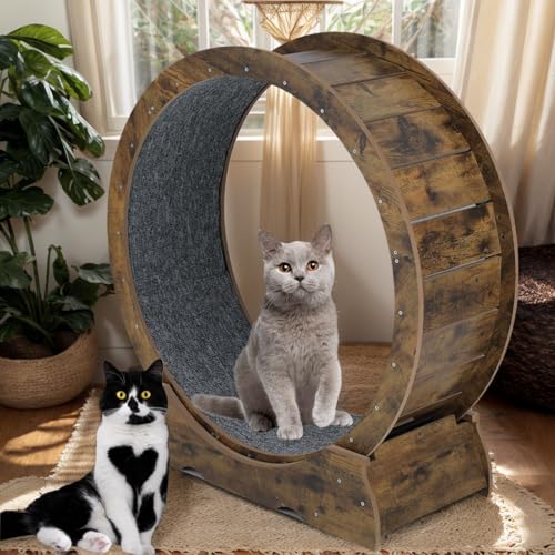Cat Exercise Running Wheel Cat Treadmill Wheels for Indoor Cats Large (Rusty Brown, Medium)