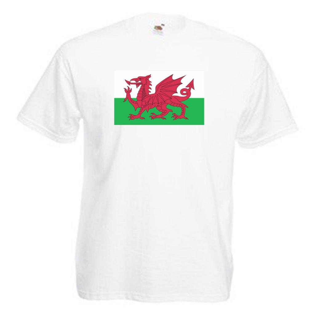 Shaniztoons Men's White Wales Welsh Flag T Shirt Large