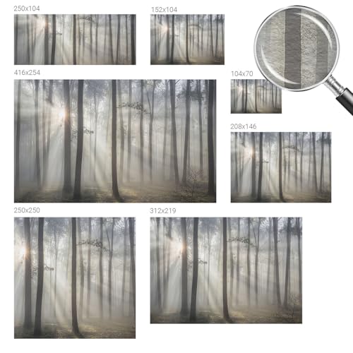 Décor mural intissé forêt éthérée 416x254 cm avec colle incluse
