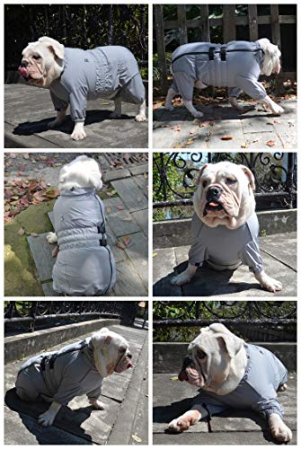 Dogs Waterproof Jacket, Lightweight Waterproof Jacket Reflective Safety Dog Raincoat Windproof Snow-Proof Dog Vest For Small Medium Large Dogs Gray Xxl #TOP6