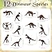 VICROIC 60 PCS Dinosaur Fossil Skeletons, Assorted Dinosaur Skeleton Figures for Science Dino Sand Dig Party Favor Decorations(Brown)