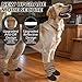 EXPAWLORER Anti Slip Dog Socks to Prevent Licking Paws, Shoes for Hot Pavement, Boots & Paw Protectors with Grippers, Waterproof Booties for Hardwood Floors for Small Medium Large Senior Dogs Khaki M