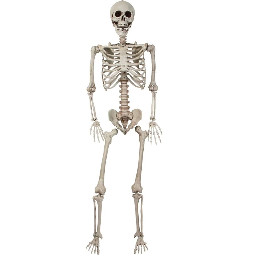 専用出品　ハロウィン骸骨 Amazon | ハロウィン飾り 骸骨 置物 模型 モデル 人体 骨格