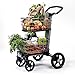 Scout Cart SCV1 All Purpose Folding Cart,Black