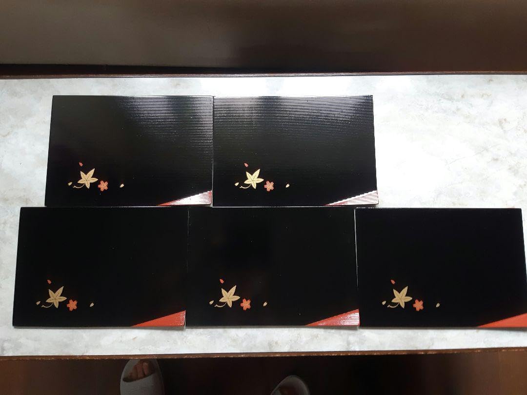 越前河和田塗 漆塗り漆器 天然木5枚 元箱、 おまけ白梅の枝付