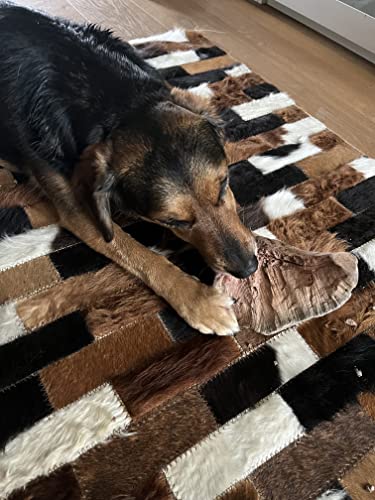 Kork-Deko Kauwurzel für Hunde | Kauspielzeug aus Wurzel der Baumheide | Nachhaltig, unbehandelt & unbedenklich | Natürlicher Kauknochen ohne Kalorien | Bruyère Holz aus Portugal