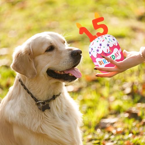 Dansydaisy Acessórios de brinquedo de bolo de aniversário de 15 anos para meninas e meninos, brinque