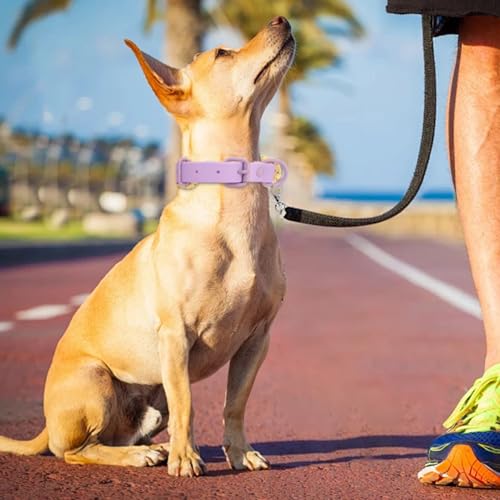Beowanzk Hundehalsband, reflektierendes Hundehalsband, Supreme mit weichem & starkem Nylon, Hundehalsbänder für kleine, mittelgroße Hunde (Lila-Gelb, M)