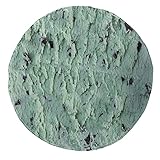 Ambesonne Frozen Round Beach Blanket, Close Up View of Mint Flavor Ice Cream Food with Chocolate Chips Illustration, Lightweight Multipurpose Cover for Sofa Bed and Chair, 47' Round, Pale Teal Black