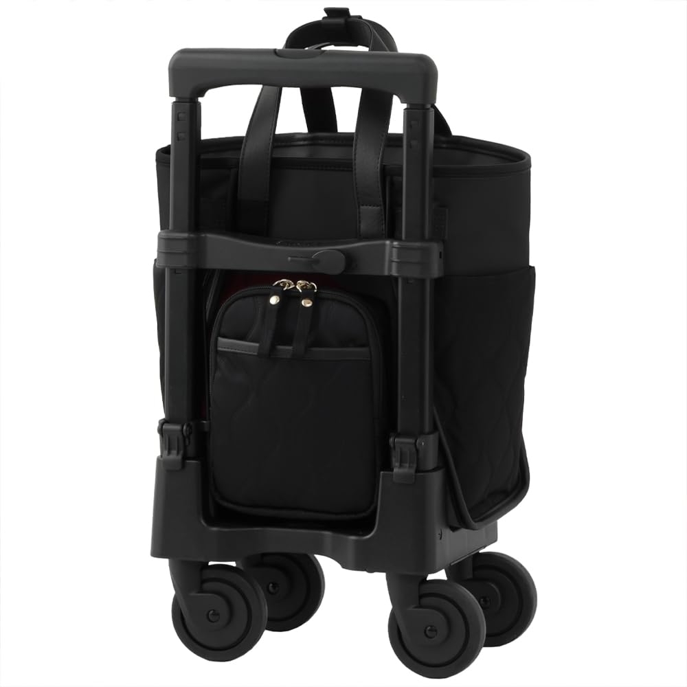 Amazon.co.jp: SWANY スワニー キャリーバッグ D-676 プーフォ TS18