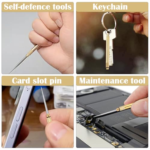 Image of 5 Pcs Portable Toothpicks with Key Ring Metal Titanium | Multifunctional, For Outdoor Picnic and Camping