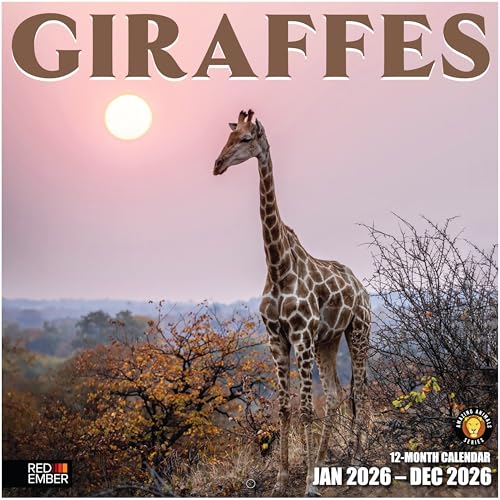 RED EMBER Giraffes 2026 Wall Calendar 12 Month | 12” x 24” Open | Thick & Sturdy Paper...