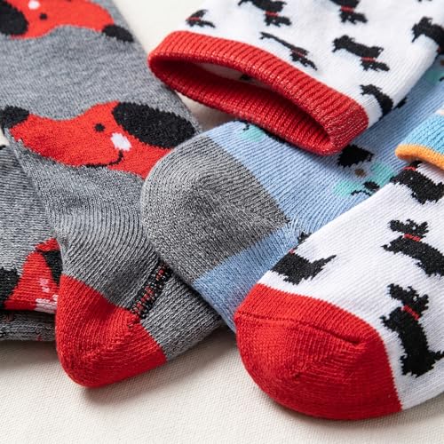 Image of Tipi Toe Women's 6-Pack Funky Crew Socks | Colorful Fun Patterned Novelty Dress Socks, Sizes 9-13
