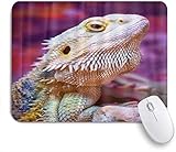 GLATTE OBERFLÄCHE: Glatte Oberfläche für optische Mäuse, kein Überspringen, sorgt für schnelle, gleichmäßige Bewegungen bei gleichzeitiger Beibehaltung von Geschwindigkeit und Kontrolle während des Spielens. Sie verbessert die Verfolgung von Mausbewegungen, ideal für große Bildschirme.